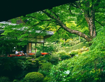 Circuit individuel : Intensément Japon en 3* - 4