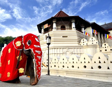 Circuit Sri Lanka, trésors de Ceylan - 2