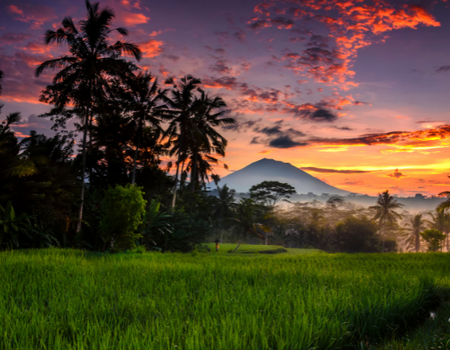 Combiné Rizières et Plage sur l'île des Dieux en hôtels de Charme - 4