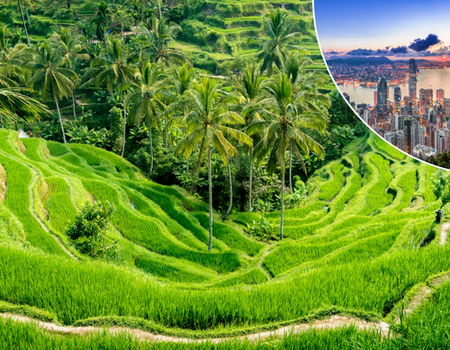 Combiné De Hong Kong à la Jungle de Bali - 1