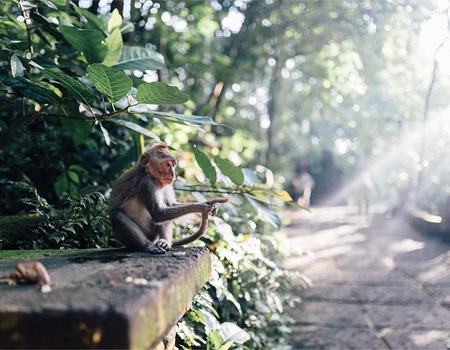 Combiné Sthala Ubud 5* + Oclub Select Merusaka 5* - 4