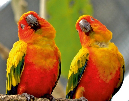 Confidentiel Brésil, samba, soleil & saveurs 2026 - 12 jours / 10 nuits - Limité à 18 personnes - 5