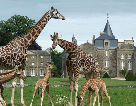 Séjour familiale à la découverte du Zoo la Bourbansais dans un hôtel de charme - 4*