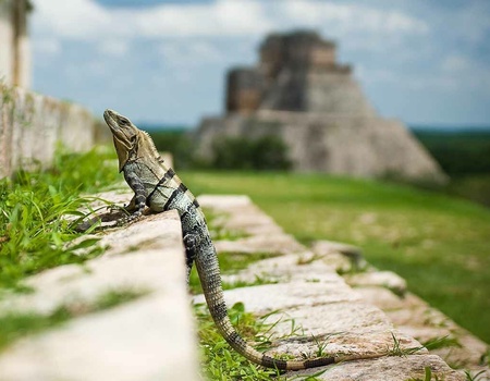 Autotour à la decouverte du Yucatan 7 nuits - Mexique, Amérique du Sud - Image 4