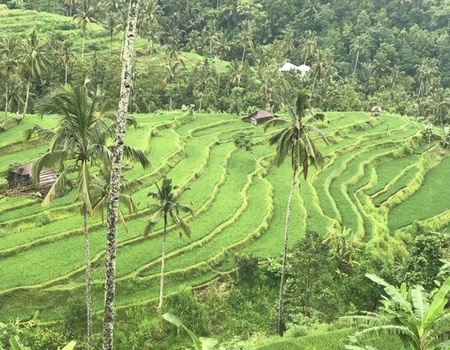 Circuit Trésors de Bali et Merveilles de Komodo - Bali, Indonésie - Image 2