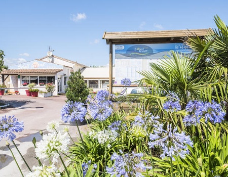 Camping Soleil Levant **** - - Meschers sur Gironde - Charente-maritime - Meschers-sur-Gironde, Atlantique Nord - Image 3