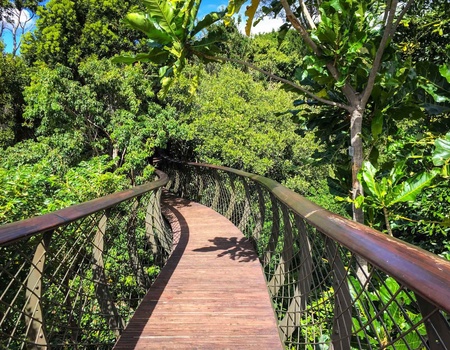 Trésors d'Afrique du Sud, Chutes Victoria & Parc de Chobe 13J/10N - 2026 - 2