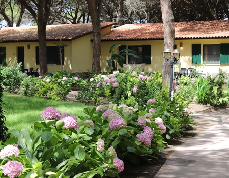 Club Coralia Horse Country Resort Congress & Spa 4* - 5