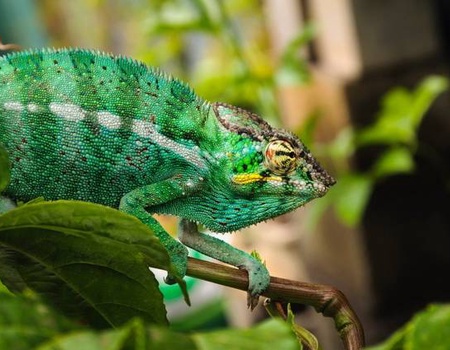 Aventure à La Réunion - 3