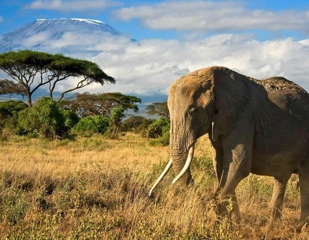 Circuit individuel Merveilles d'Hiver - 4