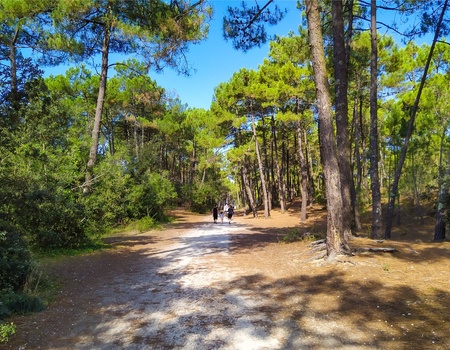 Camping Royal Océan 4* - 4