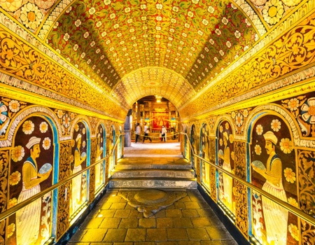 Combiné circuit et hôtel Royaume de Ceylan (collectif) & plage au Framissima Turyaa - 1