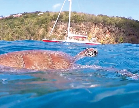 Circuit Guadeloupe : 5 Iles - 5 Ambiances - 3