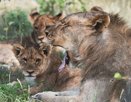 Splendeurs de Namibie & Séjour Chobe & Chutes Victoria 16J/13N - 2026