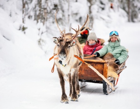 Circuit Rêveries en Laponie et nuit en igloo de verre - 5
