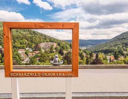 Plaisir pur dans la Forêt-Noire avec dîner et spa - 4* - 4
