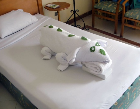 Hôtel Dive Inn Resort 3* - Sharm el Sheikh, Egypte - Image 3