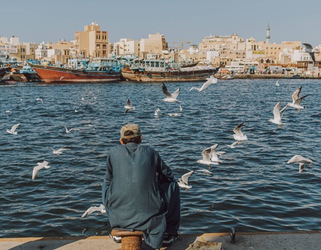 Circuit Lumières du désert : escapade entre Dubai et Abu Dhabi ***** - 5