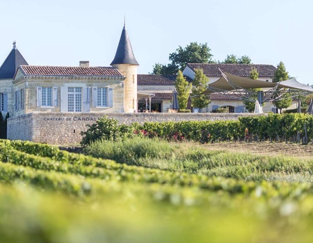 Escapade à Bordeaux avec visite et dégustation à Saint-Émilion - 3* - 1