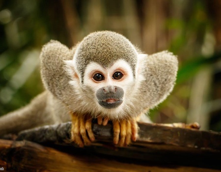 Circuit Des Andes d'Equateur aux îles des Galapagos - 3