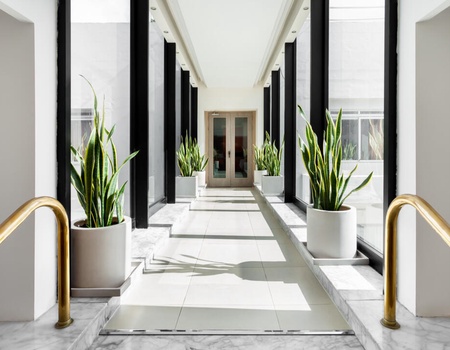 Hôtel Plaza Regency Hôtel 3* - Image 5