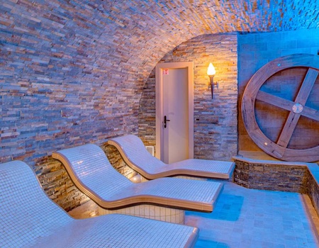 Escapade détente dans un 4* proche de Mulhouse avec entrée pour Europa-Park (à 1h10 du parc) - 4* - 5