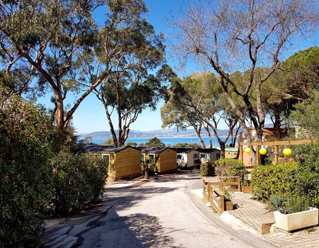 Camping Clair de Lune 4* - France, Côte d'Azur, Giens - Image 1
