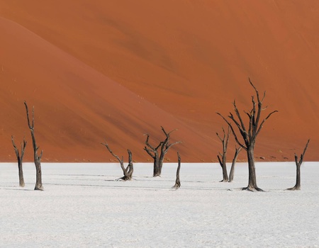 Autotour Sur les routes de Namibie **** - 3