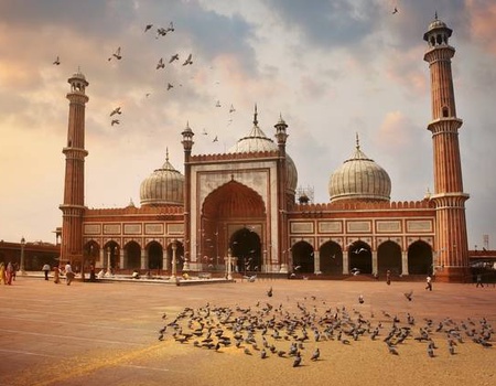 Circuit Privé Les belles cités du Rajasthan - 4