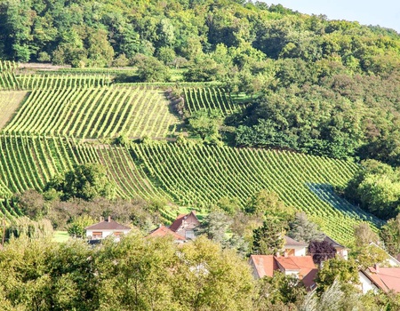 Découvrez l'Alsace dans un cadre romantique - 3* - Image 1