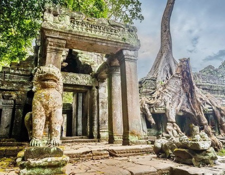 LA CANTATE EXT HALONG PT PANORAMA CAT DELUXE - 3