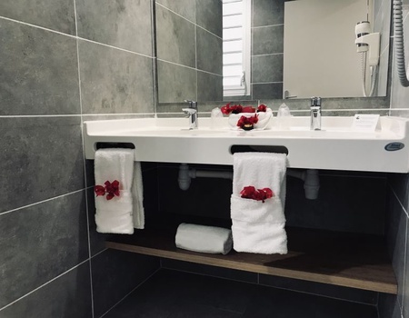 Hôtel Diamant les Bains 4* avec Location de voiture - 4