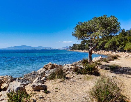 Camping Tikayan Le Méditerranée  3*- Maeva - On aime - Hyères, Côte d'Azur - Image 3