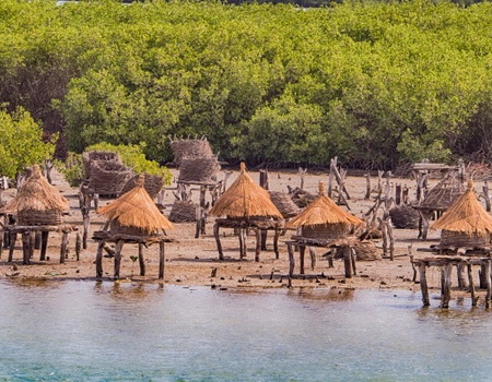 Circuit Beautés du Sénégal et Extension Framissima Palm Beach - 4