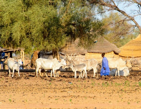 Circuit Mythes et Charmes du Sénégal 3* - 2