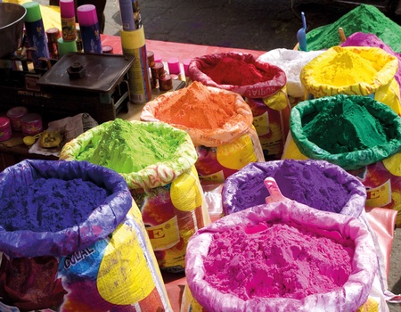 Rajasthan intime (petit groupe - 6-12 pers.) - 5