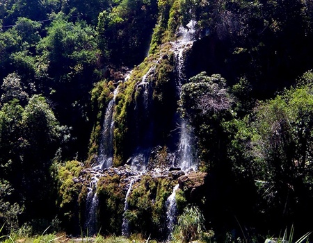 Circuit Immersion à l'Île de la Réunion - St Denis de la Réunion, Ile de la Réunion - Image 3
