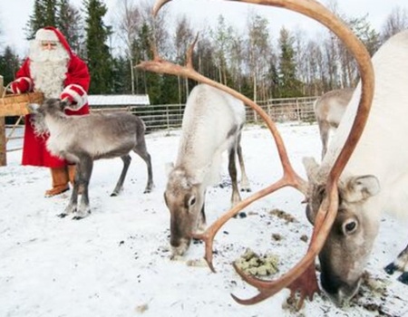 Séjour accompagné Multi-activités à Rovaniemi - Rovaniemi, Finlande - Image 2