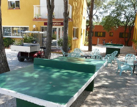 Camping Domaine des Mimosas, 2* - 4