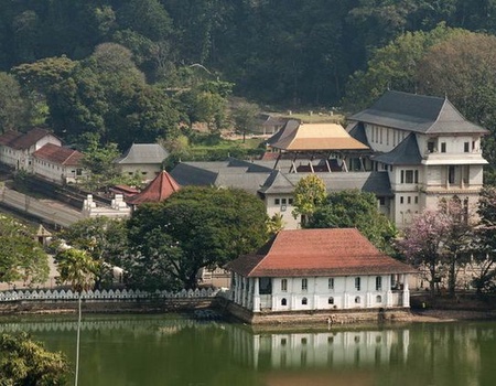 Circuit privé Ceylan en liberté - 4