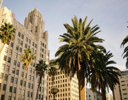 Appel de l'Ouest - départ 2027 - Los Angeles, Etats-Unis - Image 2