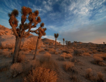 Le Meilleur De L'ouest Americain - Los Angeles, Etats-Unis - Image 3