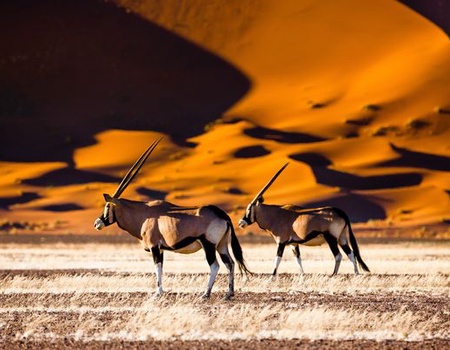 Merveilles de Namibie & Séjour Chutes Victoria 17J/14N - 2026