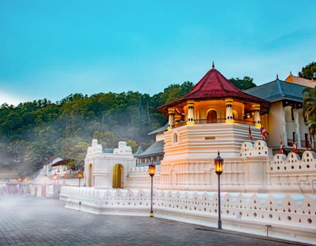 Combiné circuit et hôtel Intense Sri Lanka (collectif) & plage au Framissima Turyaa Kalutara **** - 3