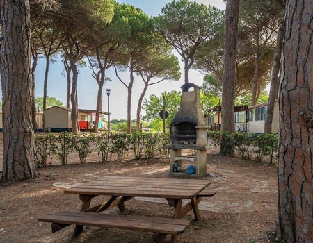 Camping Pineta sul Mare, 3* - 4