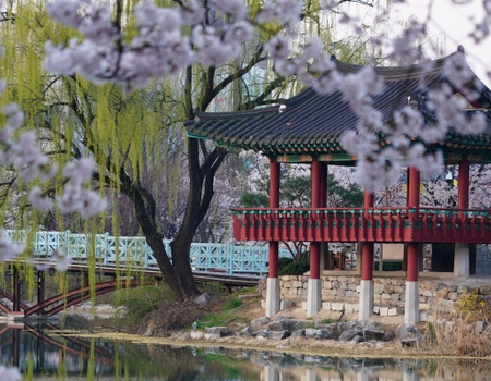 Circuit Corée Authentique, de Séoul au Village Hanok de Jeonju - 3