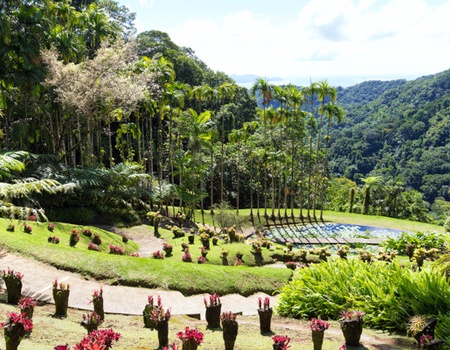 Autotour Trilogie créole en liberté - 5