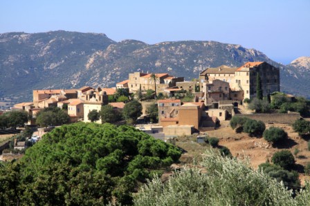Stella Corsica Calvi ( avec vols réguliers ) - 3