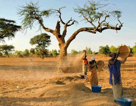 Circuit Coralia Casamance Authentique - 3