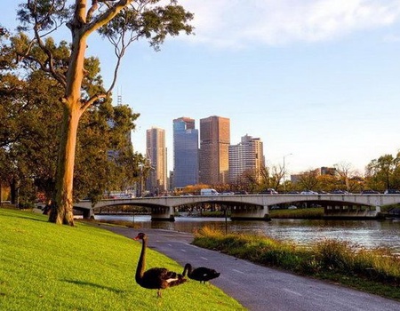 CIRCUIT MOSAIQUE AUSTRALIENNE ET OUVERTURE SUR LE SUD - 1